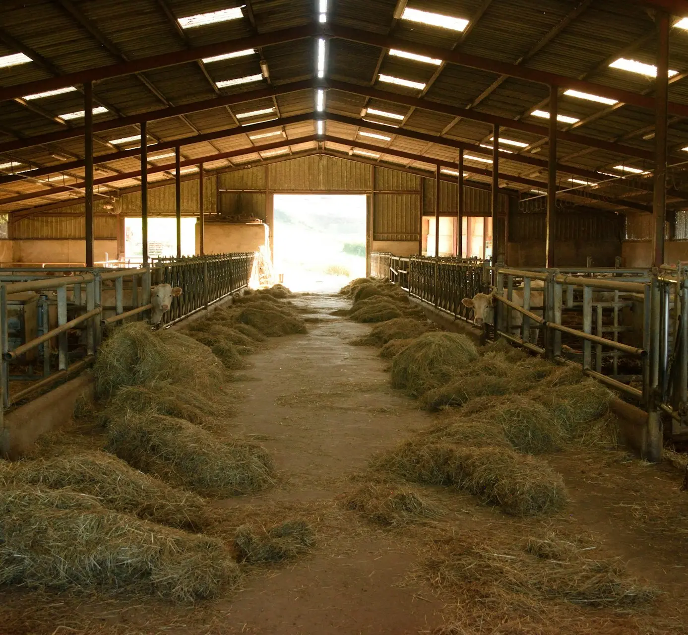 a barn filled with lots of hay next to a doorway